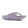'OOFOS' Women's OOriginal Thong - Mauve -Carhartt || Under Armour || The North Face Shop 1000MAUVE shot1 1024x1024@2x