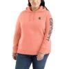 'Carhartt' Women's Clarksburg Logo Sleeve Graphic Hoodie - Hibiscus Heather 2 'Carhartt' Women's Clarksburg Logo Sleeve Graphic Hoodie - Hibiscus Heather -Carhartt || Under Armour || The North Face Shop 102791 P19 WS22P b 1024x1024@2x