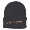 'Carhartt' Men's Insulated Cuffed Beanie - Black -Carhartt || Under Armour || The North Face Shop 104068 001 MF19 1024x1024@2x