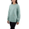 'Carhartt' Women's Force® Lightweight Sweatshirt - Blue Surf -Carhartt || Under Armour || The North Face Shop 105468 HA4 WS23 b 1024x1024@2x
