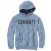 'Carhartt' Men's Midweight Felt Logo Hoodie - Alpine Blue Heather 1 'Carhartt' Men's Midweight Felt Logo Hoodie - Alpine Blue Heather -Carhartt || Under Armour || The North Face Shop 105494 H74 MF22 e 2 1024x1024@2x