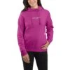 'Carhartt' Women's Force® Lightweight Graphic Hoodie - Magenta Agate -Carhartt || Under Armour || The North Face Shop 105573 P37 WS23 b 1024x1024@2x
