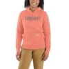 'Carhartt' Women's Relaxed Fit Midweight Graphic Hoodie - Hibiscus