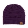 'C.C®' Solid Knit Beanie - Dark Purple -Carhartt || Under Armour || The North Face Shop HAT 20A DK.PURPLE 1024x1024@2x