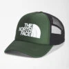 'The North Face' Men's Logo Trucker Hat - Thyme -Carhartt || Under Armour || The North Face Shop NF0A3FM3 NYC hero 1024x1024@2x