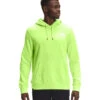 'The North Face' Men's Box NSE Pullover Hoodie - Sharp Green -Carhartt || Under Armour || The North Face Shop NF0A4761 HDD back 1024x1024@2x