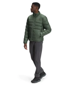 'The North Face' Men's Anconcagua 2 Jacket - Thyme -Carhartt || Under Armour || The North Face Shop NF0A4R29 NYC model34 1024x1024@2x