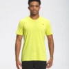 'The North Face' Men's Wander T-Shirt - Sulphur Spring Green Heather -Carhartt || Under Armour || The North Face Shop NF0A53BQ S2L hero 1024x1024@2x