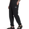 'The North Face' Men's Half Dome Sweatpants - TNF Black 2 'The North Face' Men's Half Dome Sweatpants - TNF Black -Carhartt || Under Armour || The North Face Shop NF0A7UOD KY4 model34 1024x1024@2x