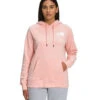 'The North Face' Women's Box NSE Pullover Hoodie - Evening Sand Pink -Carhartt || Under Armour || The North Face Shop NF0A7UON 3ZH back 1024x1024@2x