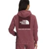 'The North Face' Women's Box NSE Pullover Hoodie - Wild Ginger / TNF White