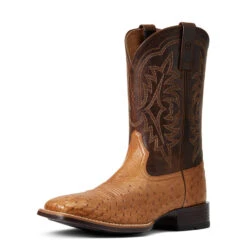 'Ariat' Men's 11" Night Life Ultra Western Square Toe - Ranger Smooth Quill Ostrich / Beam Brown -Carhartt || Under Armour || The North Face Shop S22 MNS WEST 10040345 3 4 front 1024x1024@2x