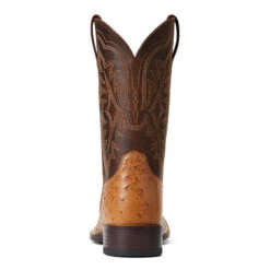 'Ariat' Men's 11" Night Life Ultra Western Square Toe - Ranger Smooth Quill Ostrich / Beam Brown -Carhartt || Under Armour || The North Face Shop S22 MNS WEST 10040345 heel 1024x1024@2x