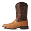 'Ariat' Men's 11" Night Life Ultra Western Square Toe - Ranger Smooth Quill Ostrich / Beam Brown -Carhartt || Under Armour || The North Face Shop S22 MNS WEST 10040345 side 1024x1024@2x